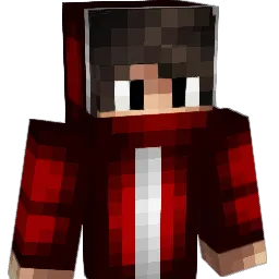 SakiNo11 Minecraft avatar bust