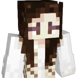 Salerin75 Minecraft avatar bust