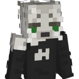 SaliSuks Minecraft avatar bust