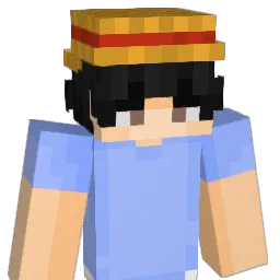 SalihBey333 Minecraft avatar bust