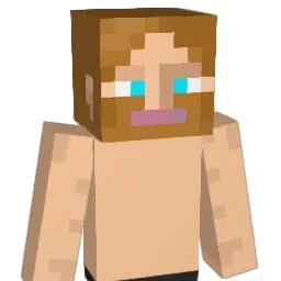 SalinDeff Minecraft avatar bust