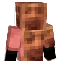 Salio_