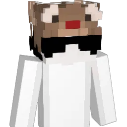 SalkW's Minecraft skin