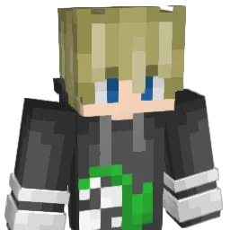 Salkin64 Minecraft avatar bust