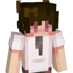Salks_ Minecraft avatar bust