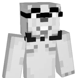Salmon24 Minecraft avatar bust