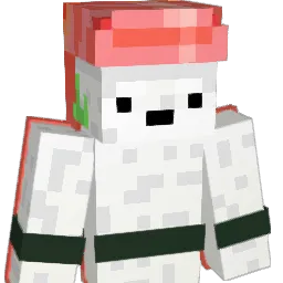 Salmon_0824 Minecraft avatar bust