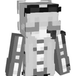 Salomkaaa Minecraft avatar bust