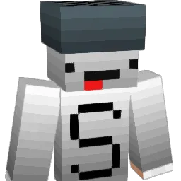 Salt881 Minecraft avatar bust