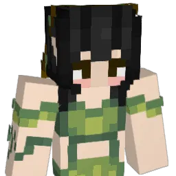 SaltedLlama Minecraft avatar bust