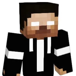 Saltedt Minecraft avatar bust