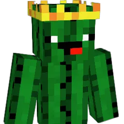 SalteyAllDay365 Minecraft avatar bust