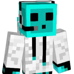 SaltyDawg8 Minecraft avatar bust
