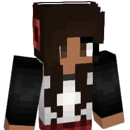 SaltySushi1 Minecraft avatar bust