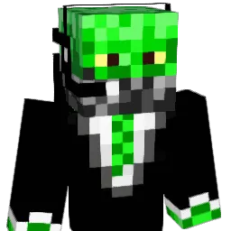 Salty_xD Minecraft avatar bust