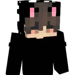Salvinorum Minecraft avatar bust