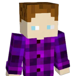 Salzbrocken Minecraft avatar bust