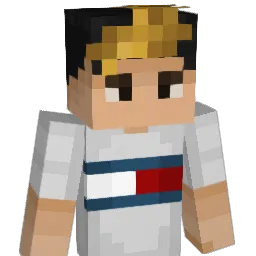 Salzyn Minecraft avatar bust