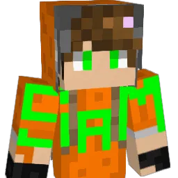 SamStrange7 Minecraft avatar bust