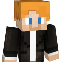 Sam_CT Minecraft avatar bust