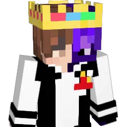 SamiD1_ Minecraft avatar bust