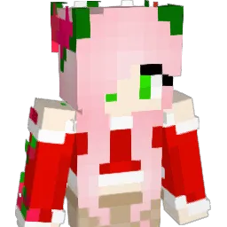 Samsamee Minecraft avatar bust