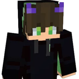 SamsunLee55 Minecraft avatar bust