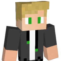 SamsungBOOM Minecraft avatar bust