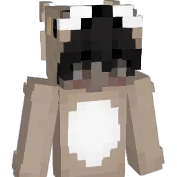 SandWichBoy00 Minecraft avatar bust