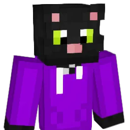 Sandwich223 Minecraft avatar bust
