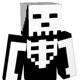 SaneSkull Minecraft avatar bust