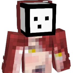 Sanfranjohny415 Minecraft avatar bust