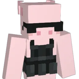 SangellAS's Minecraft skin