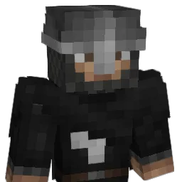 Sanitater__