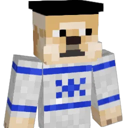Sans_MAGA Minecraft avatar bust