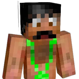 Santos8811 Minecraft avatar bust