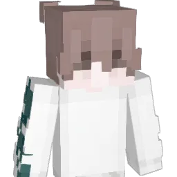 SarFlear