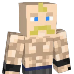 SarinWMD Minecraft avatar bust