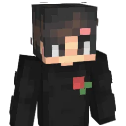 SarlMailliw Minecraft avatar bust