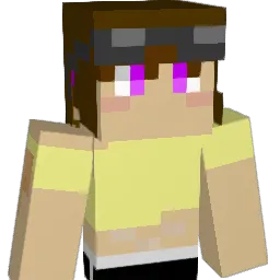 SarrBann Minecraft avatar bust