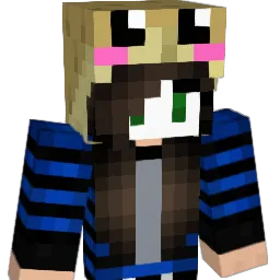 Sarus66 Minecraft avatar bust