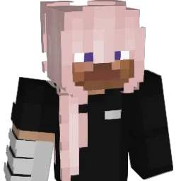 Sasha0100001 Minecraft avatar bust