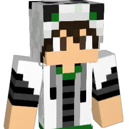 Sasha2502 Minecraft avatar bust