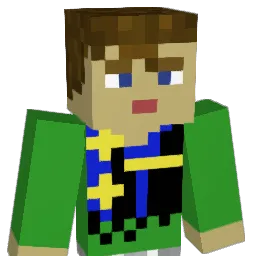 Sasin2011