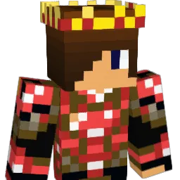 Satomi_N_ Minecraft avatar bust