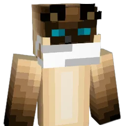 SawyerJ1111 Minecraft avatar bust