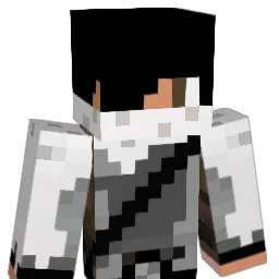 Sbe_ Minecraft avatar bust