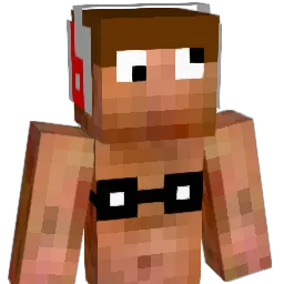 Schiller1 Minecraft avatar bust