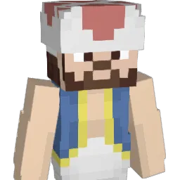 Schlaccc Minecraft avatar bust
