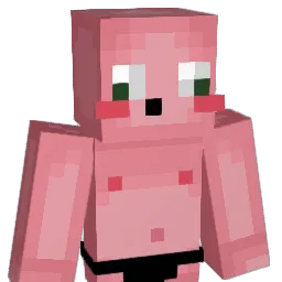 Schleens Minecraft avatar bust